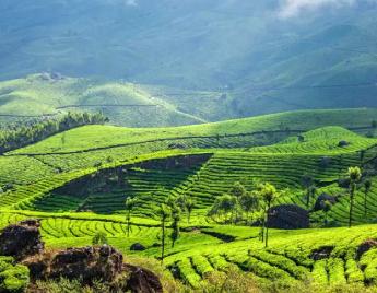 Munnar Tour Package